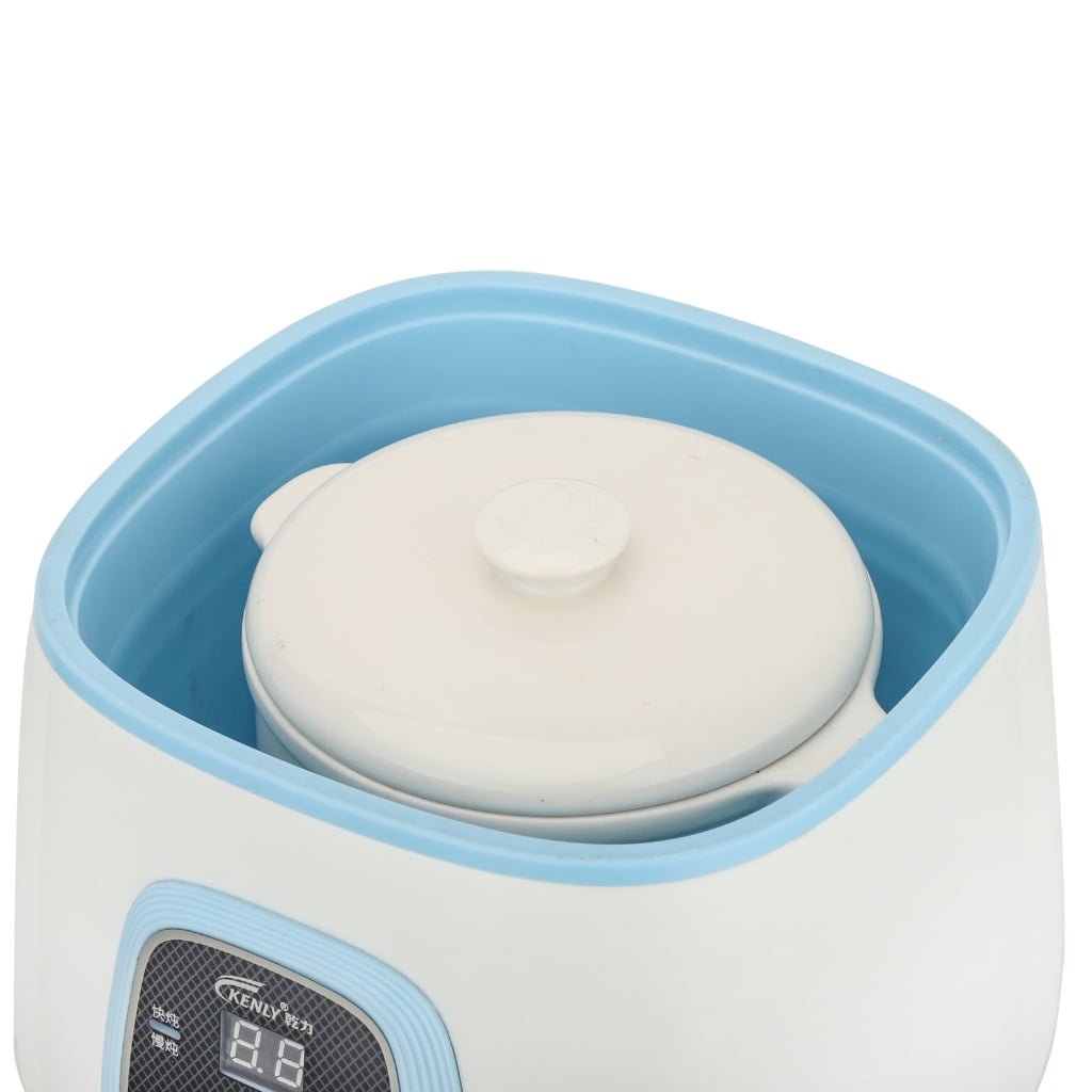 plastic case rice cooker deluxe rice cooker smart rice cooker model DZ01D